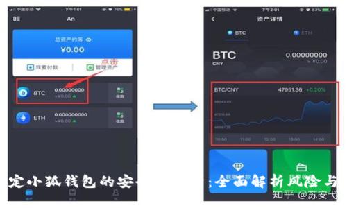 泰达币绑定小狐钱包的安全性分析：全面解析风险与保障措施