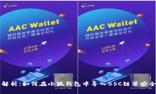 全面解析：如何在小狐钱包中导入BSC链并安全使用