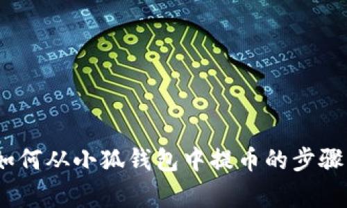 全面解析：如何从小狐钱包中提币的步骤与注意事项