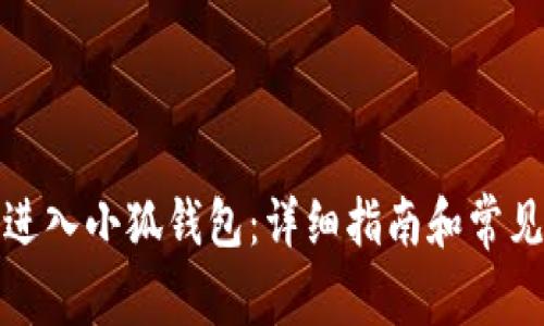如何重新进入小狐钱包：详细指南和常见问题解答