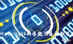 深入探讨：MetaMask的参数传