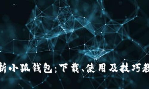 全面解析小狐钱包：下载、使用及技巧教学视频