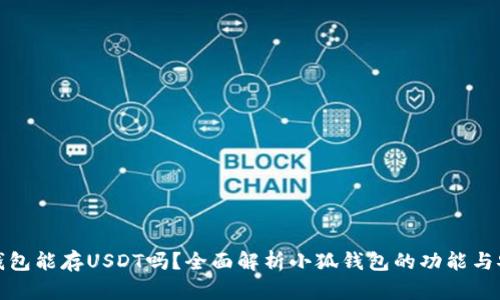 小狐钱包能存USDT吗？全面解析小狐钱包的功能与安全性