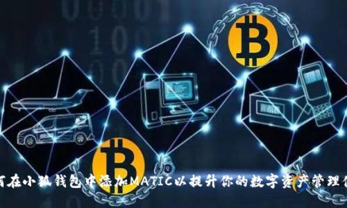 如何在小狐钱包中添加MATIC以提升你的数字资产管理体验