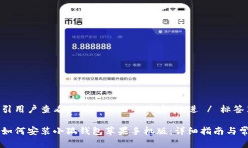 思考一个吸引用户查看且详细全面的优秀，放进 / 标签里

一步步教你如何安装小狐钱包苹果手机版：详细指南与常见问题解决