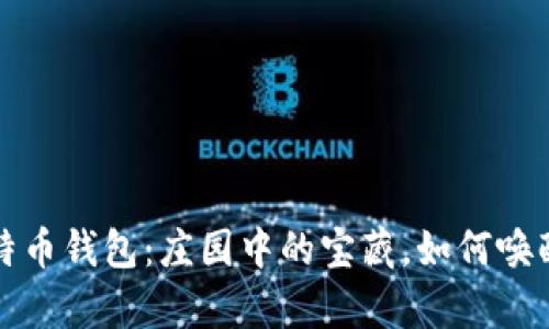 沉睡以久的比特币钱包：庄园中的宝藏，如何唤醒你的加密财富