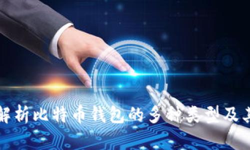 全面解析比特币钱包的多种类型及其特点