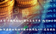 关于“小狐钱包app国内怎