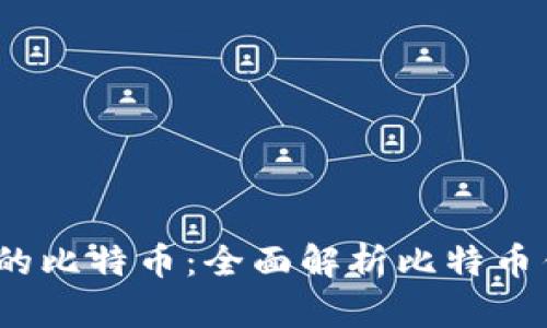 如何安全、高效地管理您的比特币：全面解析比特币钱包使用技巧与选择指南