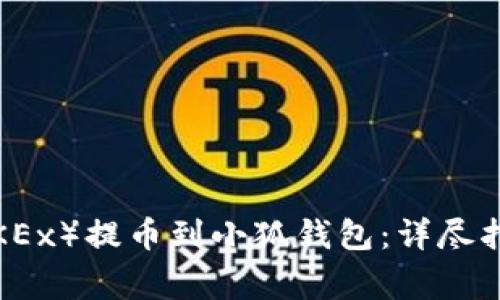 如何将欧意（OKEx）提币到小狐钱包：详尽指南与注意事项
