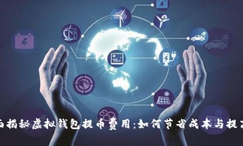 : 全面揭秘虚拟钱包提币费用：如何节省成本与提高收益
