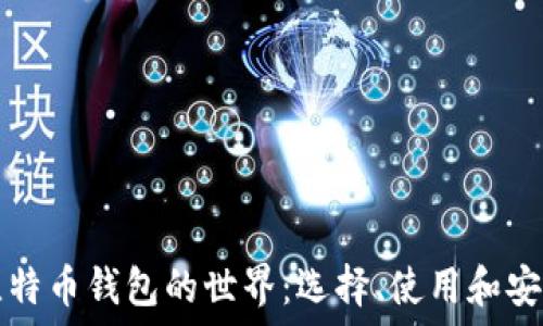   
探索比特币钱包的世界：选择、使用和安全指南
