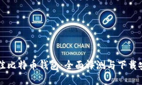 寻找最佳比特币钱包：全面评测与下载安装指南