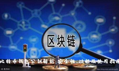 比特币钱包公钥解析：安全性、功能及使用指南