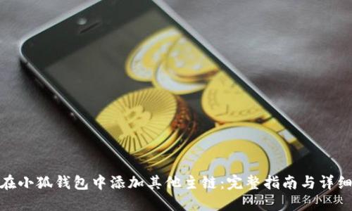 如何在小狐钱包中添加其他主链：完整指南与详细步骤