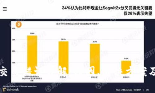 小狐钱包交易错误详解：原因、解决方案及用户指南