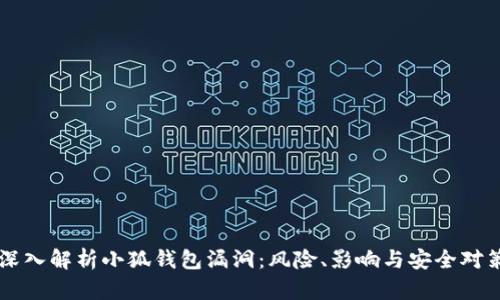 深入解析小狐钱包漏洞：风险、影响与安全对策