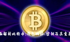 全面解析比特币：钱包地