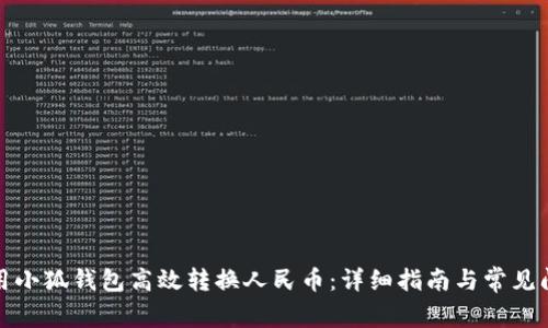 如何使用小狐钱包高效转换人民币：详细指南与常见问题解答