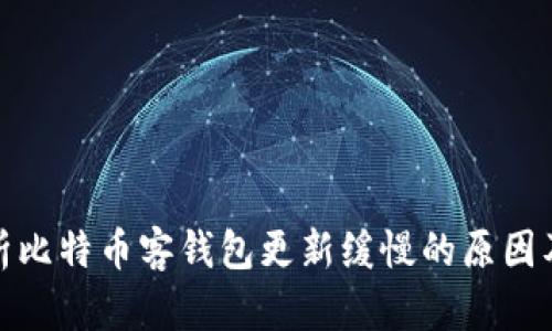 深入分析比特币客钱包更新缓慢的原因及其影响