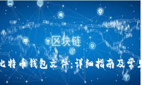 如何打开比特币钱包文件：详细指南及常见问题解答