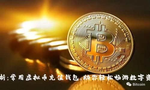 全面解析：常用虚拟币充值钱包，助你轻松畅游数字资产世界