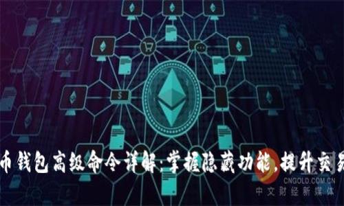 比特币钱包高级命令详解：掌握隐藏功能，提升交易效率
