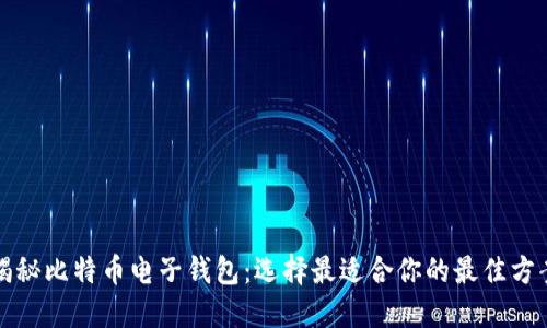 揭秘比特币电子钱包：选择最适合你的最佳方案