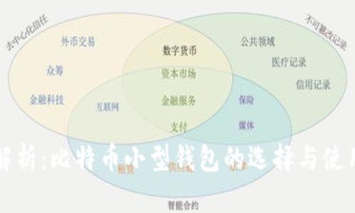 全面解析：比特币小型钱包的选择与使用指南