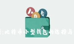 全面解析：比特币小型钱