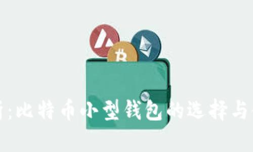 全面解析：比特币小型钱包的选择与使用指南