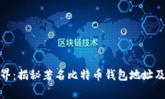探索比特币世界：揭秘著