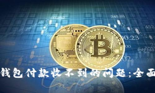 如何解决比特币钱包付款收不到的问题：全面解析与解决方案