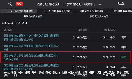 比特币提取到钱包：安全性详解与风险防范