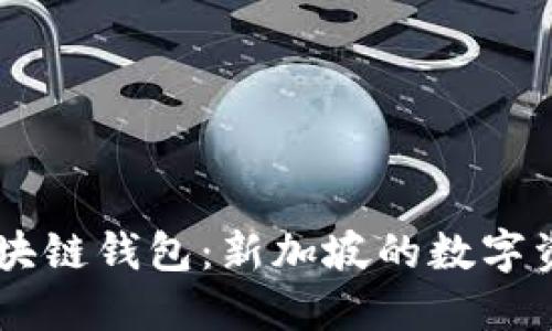 深入探讨AC区块链钱包：新加坡的数字资产管理新选择