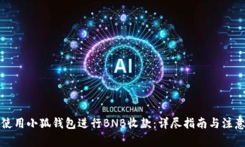 如何使用小狐钱包进行BNB收款：详尽指南与注意事项