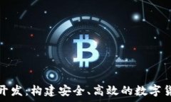  探索虚拟币钱包开发：构建安全、高效的数字货