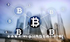 全面解析：Wasabi钱包支持USDT吗？