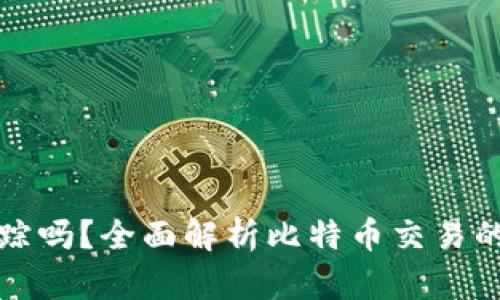 比特币钱包能被追踪吗？全面解析比特币交易的隐私性与追踪机制