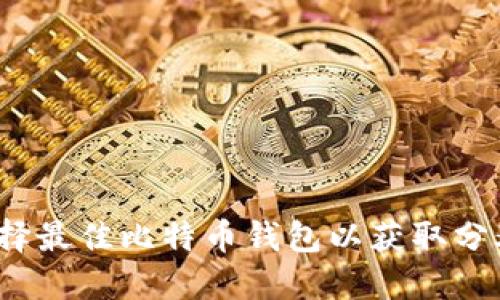 如何选择最佳比特币钱包以获取分叉收益？