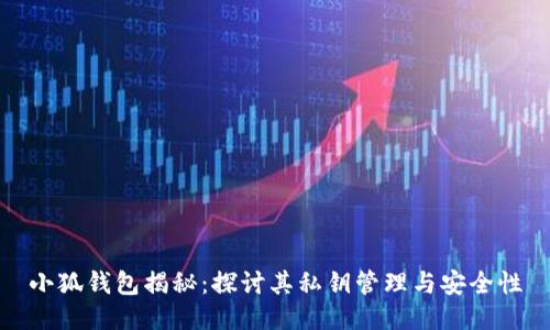 小狐钱包揭秘：探讨其私钥管理与安全性