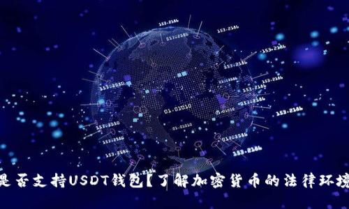 哈萨克斯坦是否支持USDT钱包？了解加密货币的法律环境与市场前景
