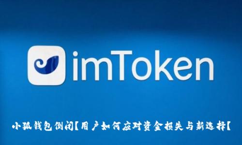 小狐钱包倒闭？用户如何应对资金损失与新选择？