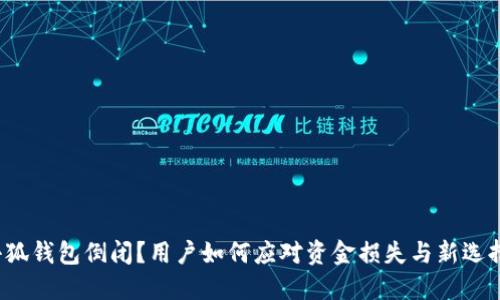 小狐钱包倒闭？用户如何应对资金损失与新选择？