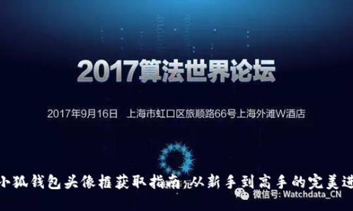 : 小狐钱包头像框获取指南：从新手到高手的完美进阶