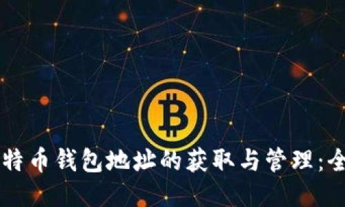 中国比特币钱包地址的获取与管理：全面指南