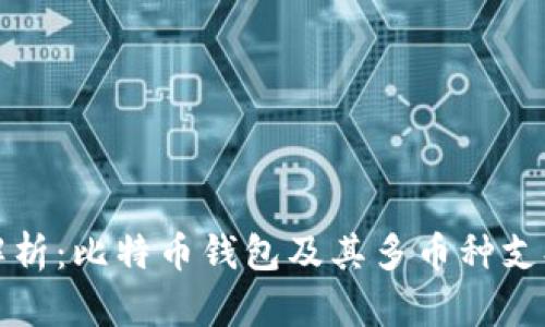 全面解析：比特币钱包及其多币种支持特点