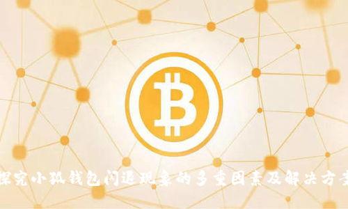 探究小狐钱包闪退现象的多重因素及解决方案
