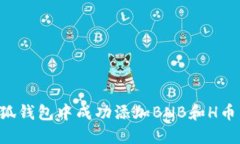 如何在小狐钱包中成功添加BNB和H币：详细指南
