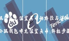 寻找小狐钱包充值鲨鱼币的路径与详细指南如何